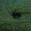 Cascade 220 Superwash Color 1918