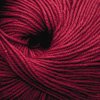 Cascade 220 Superwash Color 893