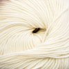 Cascade 220 Superwash Color 910A