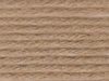 Snuggly DK Yarn Color 428