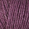 Folio Color 4530