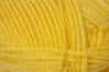 Uptown Worsted Color 327