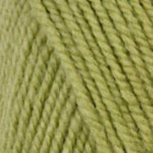 Encore Worsted Color 0451 Green Gremlin