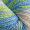 128 Superwash Multis Color 110