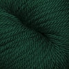 Cascade 220 Superwash Aran Color 1950