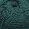 Cascade 220 Superwash Color 260