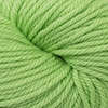Cascade 220 Superwash Aran Color 271