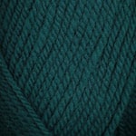 Encore Chunky Color 0598