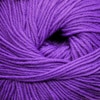 Cascade 220 Superwash Color 804
