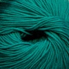 Cascade 220 Superwash Color 810