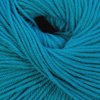 Cascade 220 Superwash Color 812