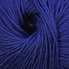 Cascade 220 Superwash Color 813