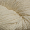 Cascade 220 Superwash Aran Color 817