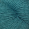 Cascade 220 Superwash Aran Color 849