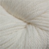 Cascade 220 Superwash Aran Color 871