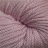 Cascade 220 Superwash Aran Color 894