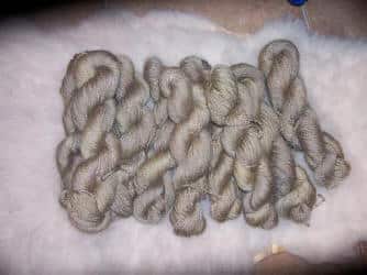 Kidding Ewe Color 17