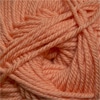 Cascade 220 Superwash Merino Color 07