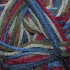 Cascade Pacific Multi Color 531