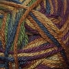 Cascade Pacific Multi Color 533