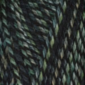 encore worsted colorspun 7810