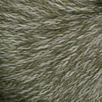 Moon Shadow Color 0010