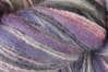 Bamboo Bloom Handpaints Color 312