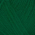 Encore Chunky Color 0054
