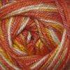 North Shore Prints Color 509
