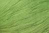 Bamboo Pop Color 108