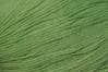 Bamboo Pop Color 109