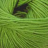 Cascade 220 Superwash Color 802