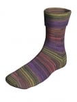 Berroco Sox Color 14105