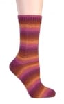 Berroco Sox Color 1458