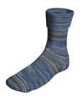 Berroco Sox Color 14102