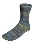 Berroco Sox Color 14103