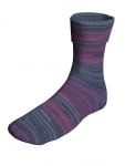 Berroco Sox Color 14104