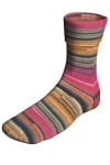 Berroco Sox Color 14108