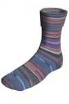 Berroco Sox Color 14109