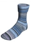 Berroco Sox Color 14111