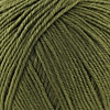 Cascade 220 Superwash Color 312