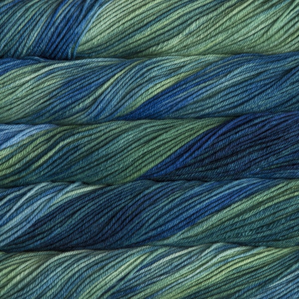 Malabrigo Rios Color 809