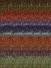 Silk Garden Color 299