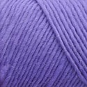 Lamb's Pride Bulky Color BM100