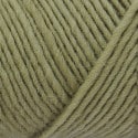 Lamb's Pride Bulky Color BM113