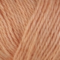 Folio Color 4528