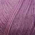Folio Color 4531