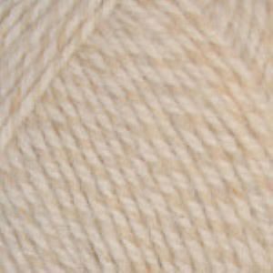 Encore Worsted Colorspun 5357
