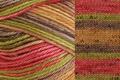 Cotton Supreme Batik Color 31