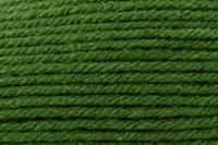 Uptown Super Bulky Color 411